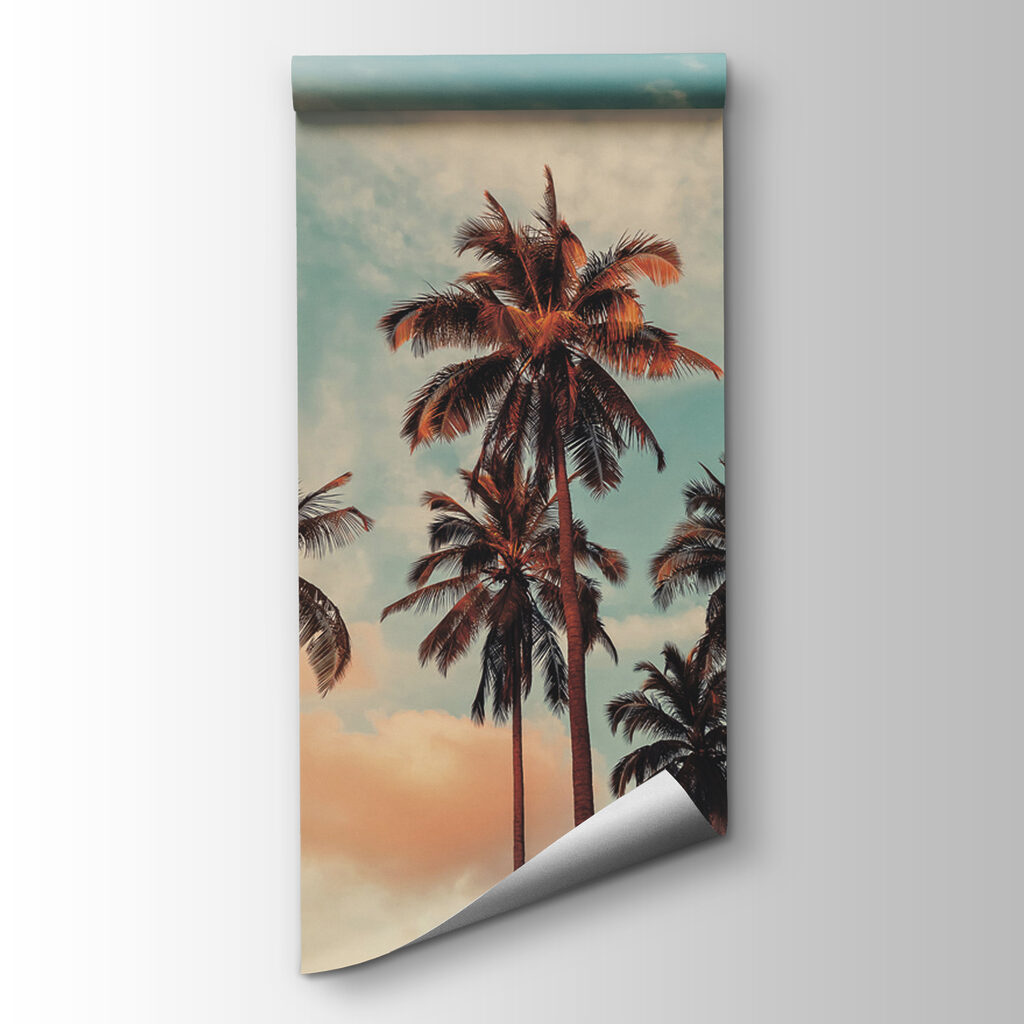 A group of palm trees A group of palm trees