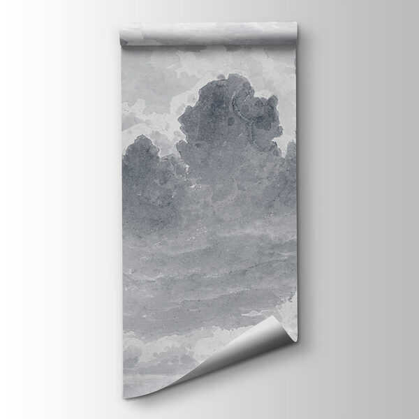 A grey and white sky