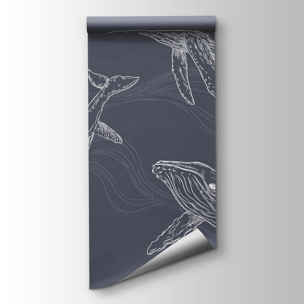 A group of whales swimming