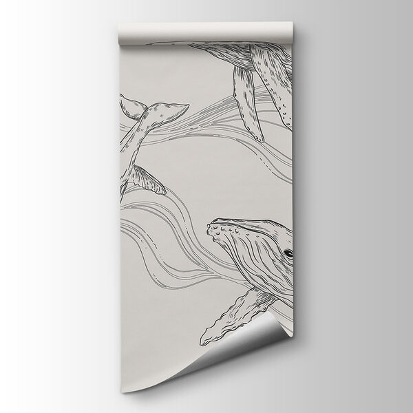 A group of whales swimming in the water