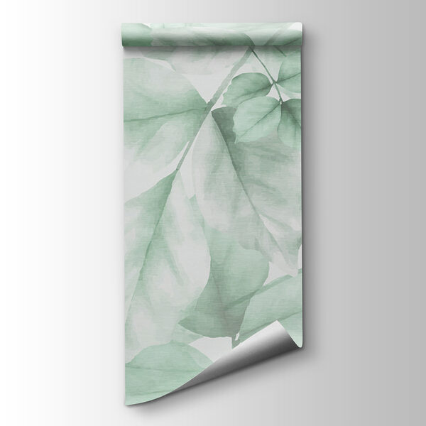 Close up of leaves Close up of leaves