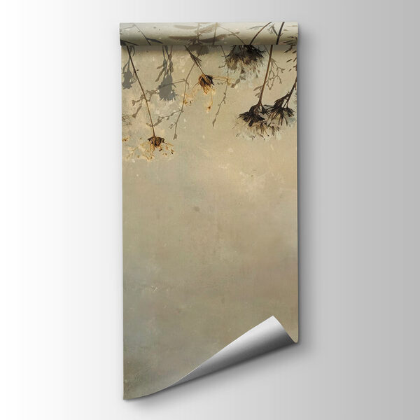 Dried flowers on a branch Dried flowers on a branch