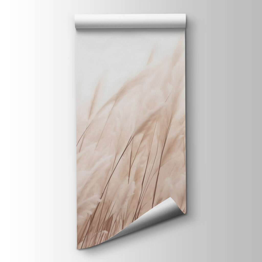 Soft grasses in gentle sunlight