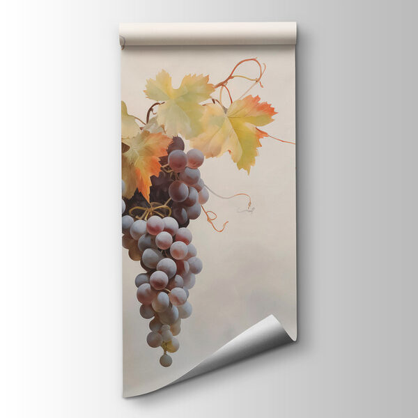 Bunch of grapes on a vine Bunch of grapes on a vine