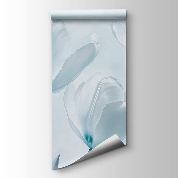 Group of white flowers Group of white flowers