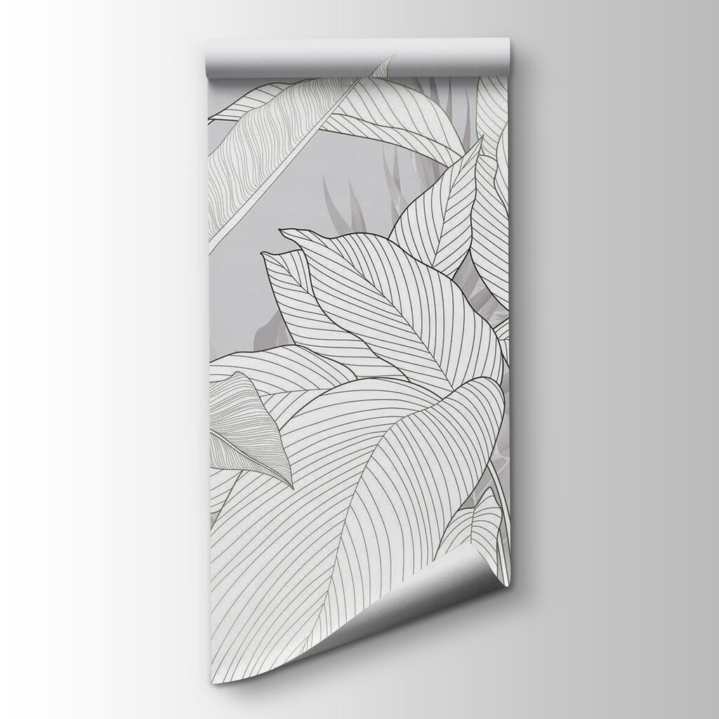 Elegant lines of nature's beauty Elegant lines of nature's beauty