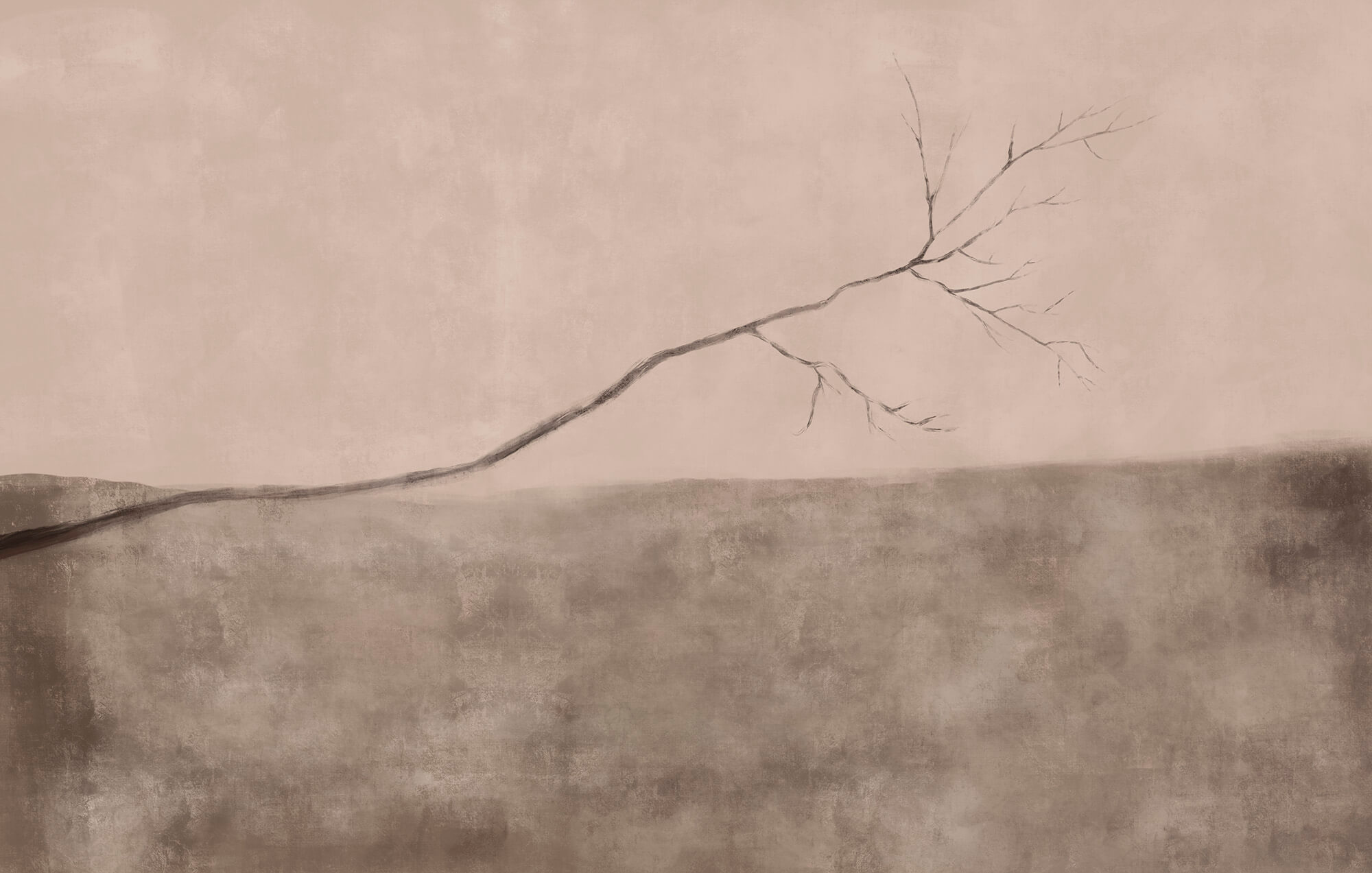 Tree branch in a field