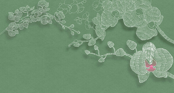 Delicate orchids against a green backdrop Delicate orchids against a green backdrop