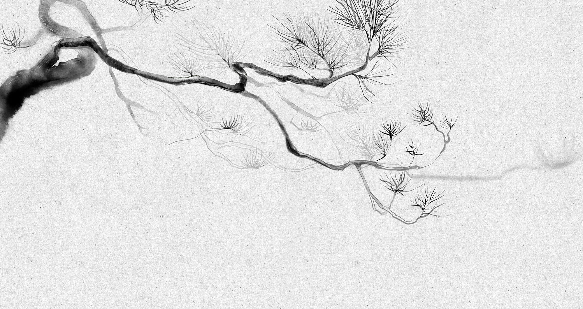 Tree branch with branches