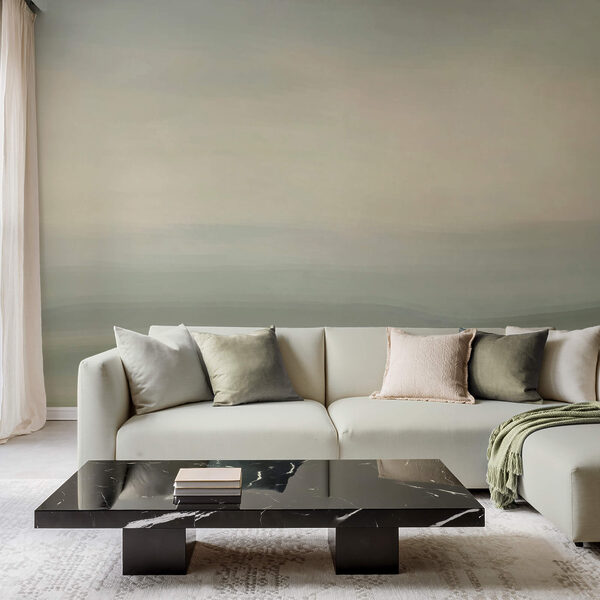 Cerul gri și alb Cerul gri și alb