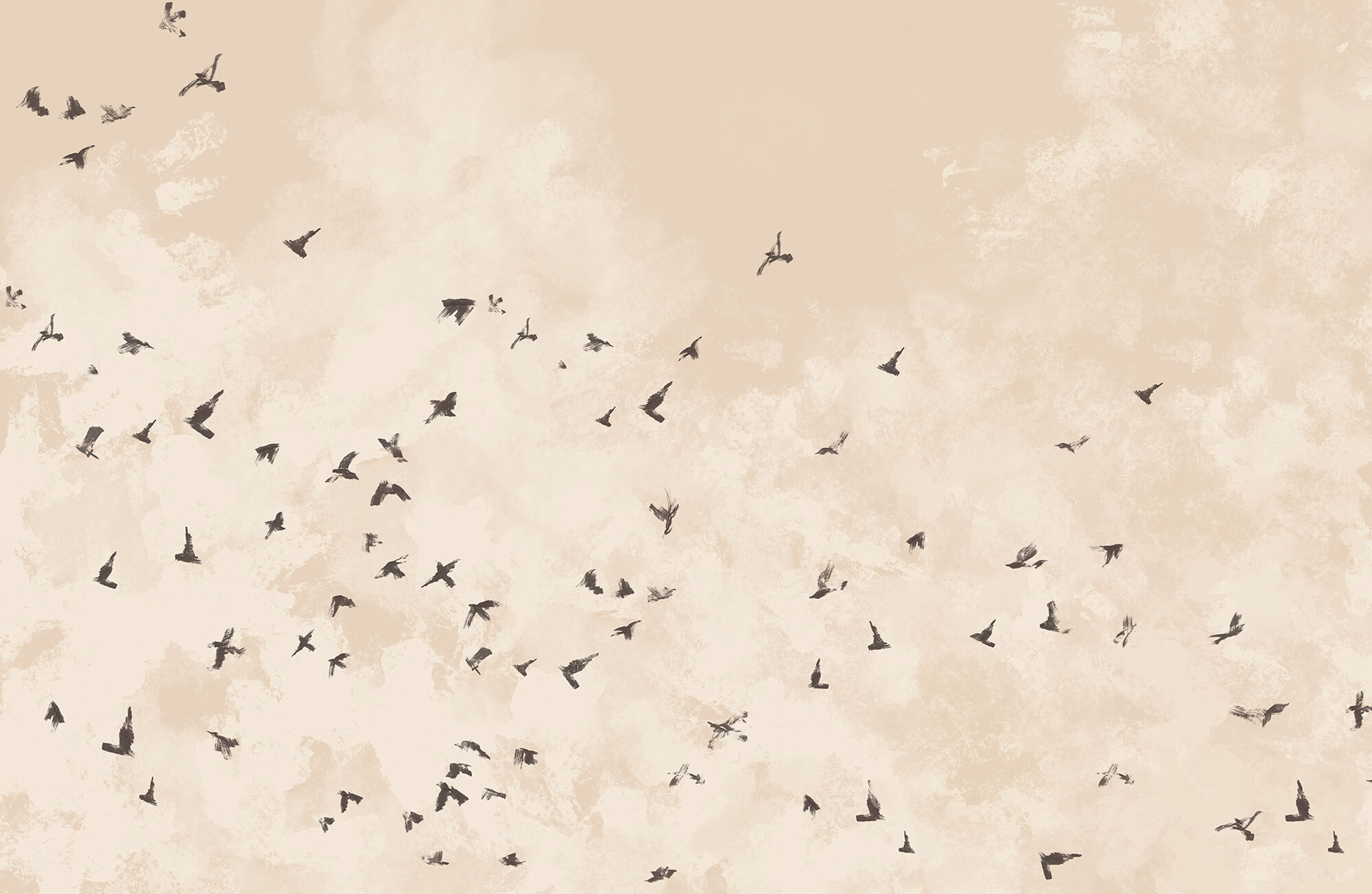 Flock of birds in the sky