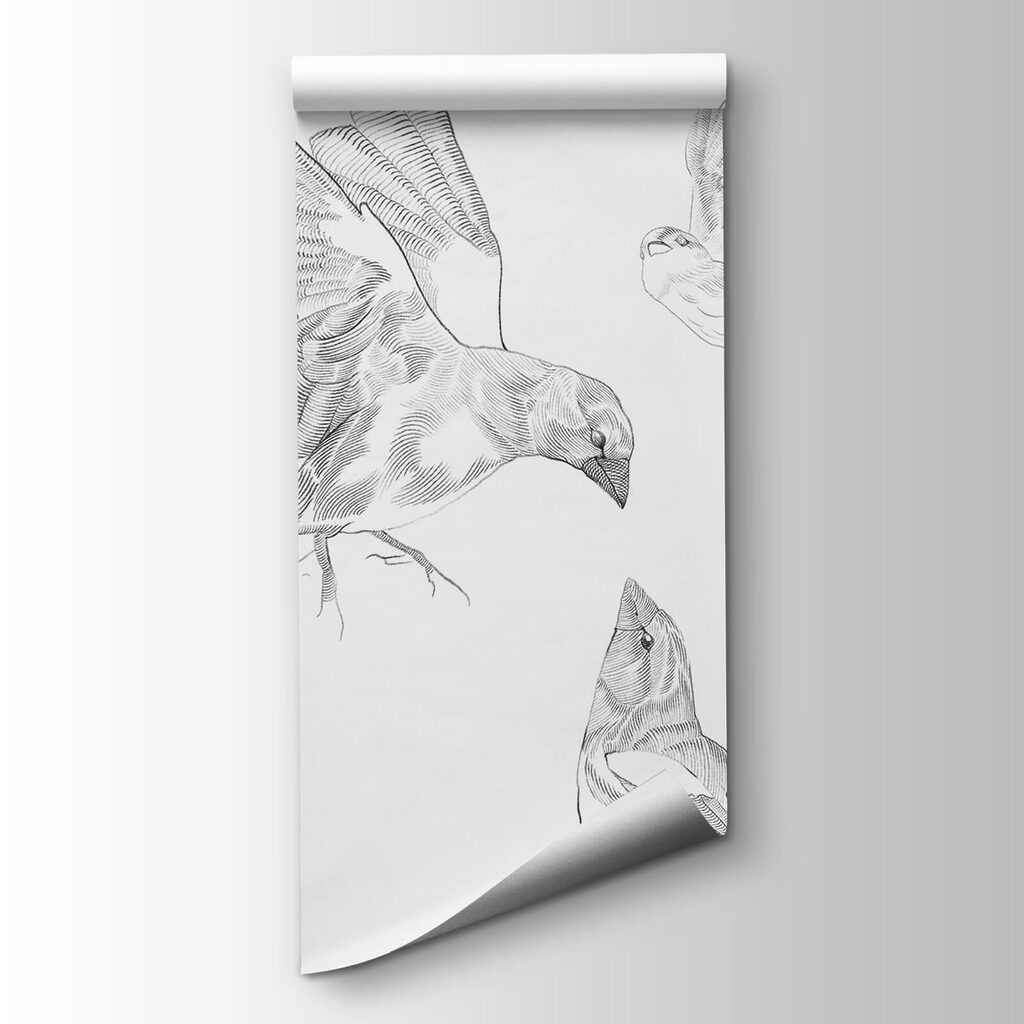 Group of birds with wings