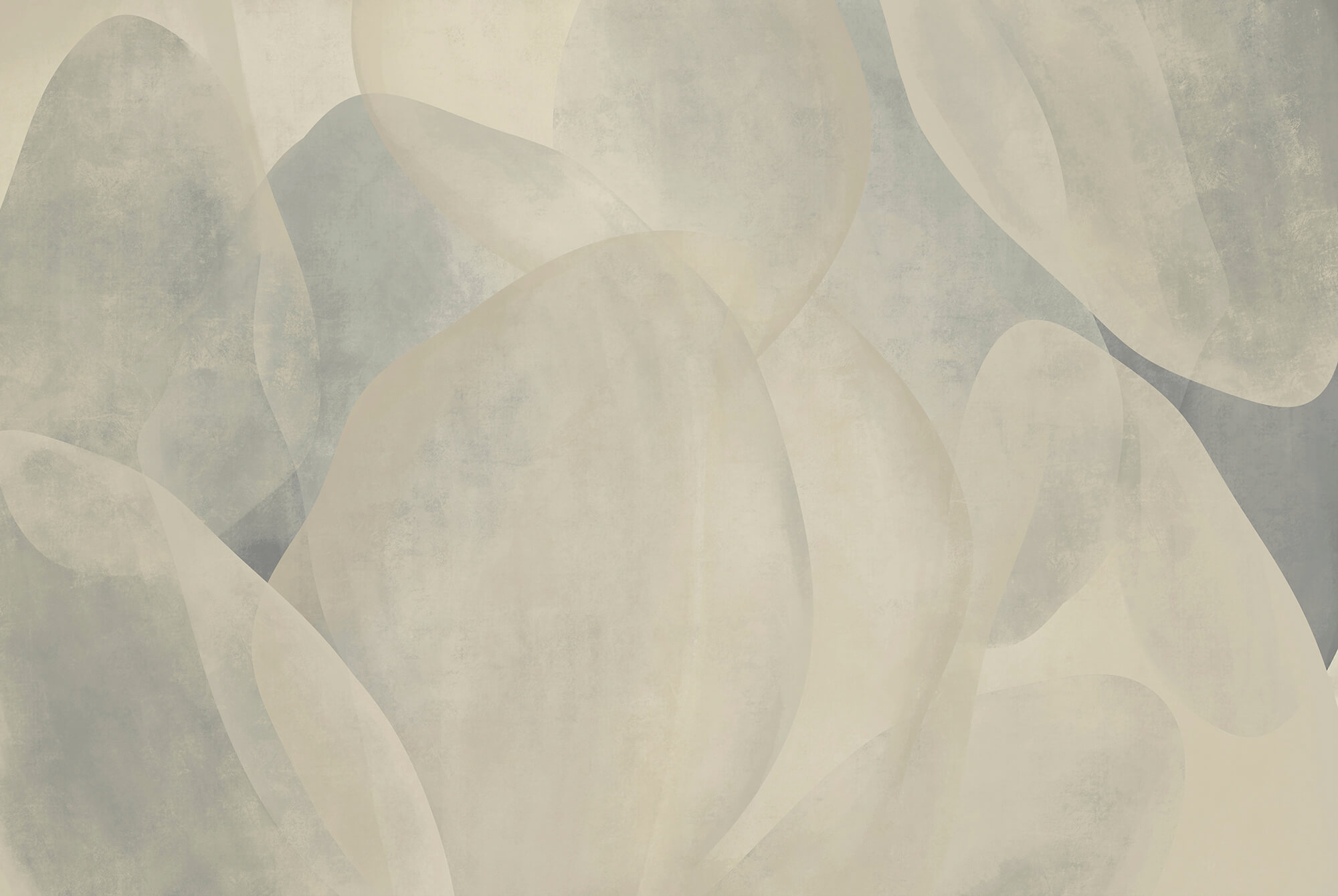 White and grey background