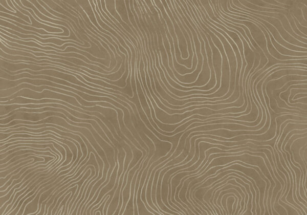 Brown surface with white lines