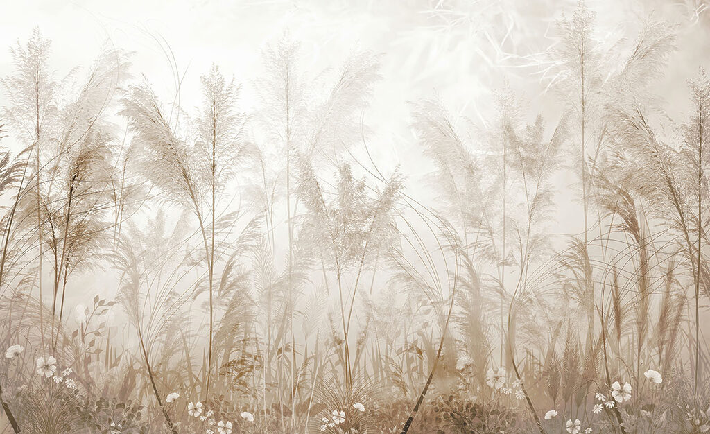 Field of grass with flowers Field of grass with flowers