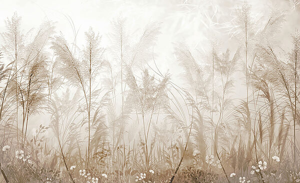 Field of grass with flowers Field of grass with flowers