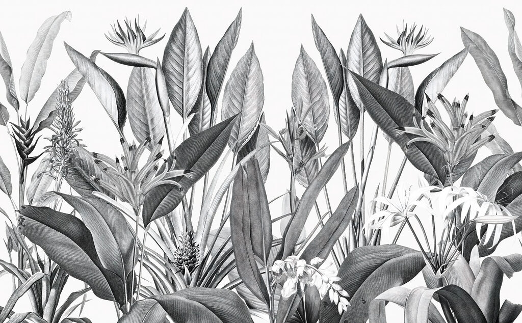 Tropical foliage in monochrome shades