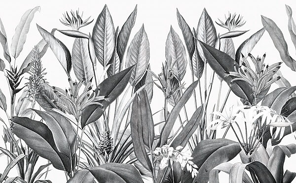 Tropical foliage in monochrome shades