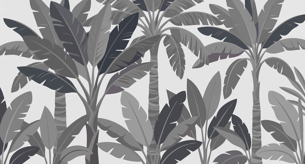 Group of palm trees