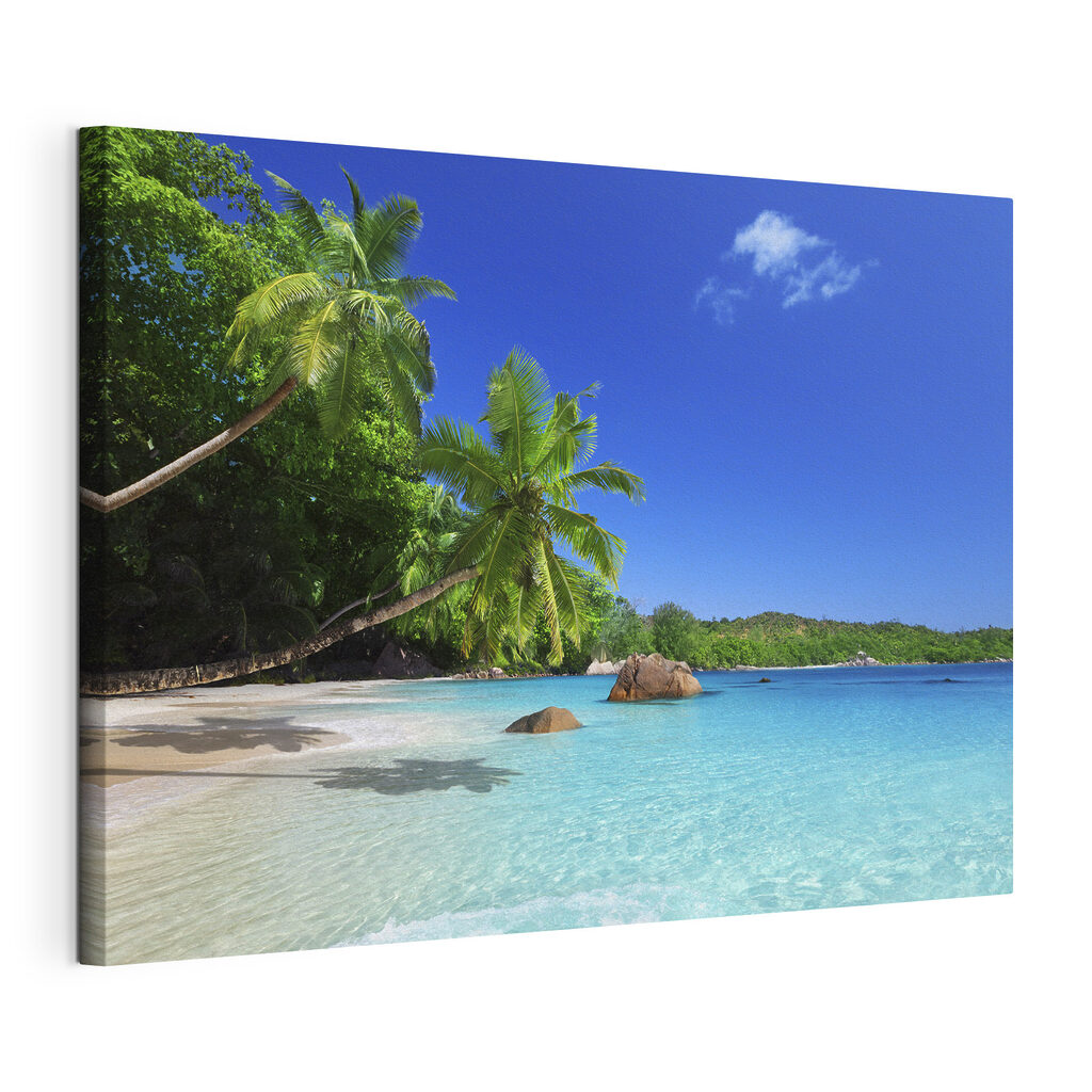 A beach with palm trees and blue water A beach with palm trees and blue water