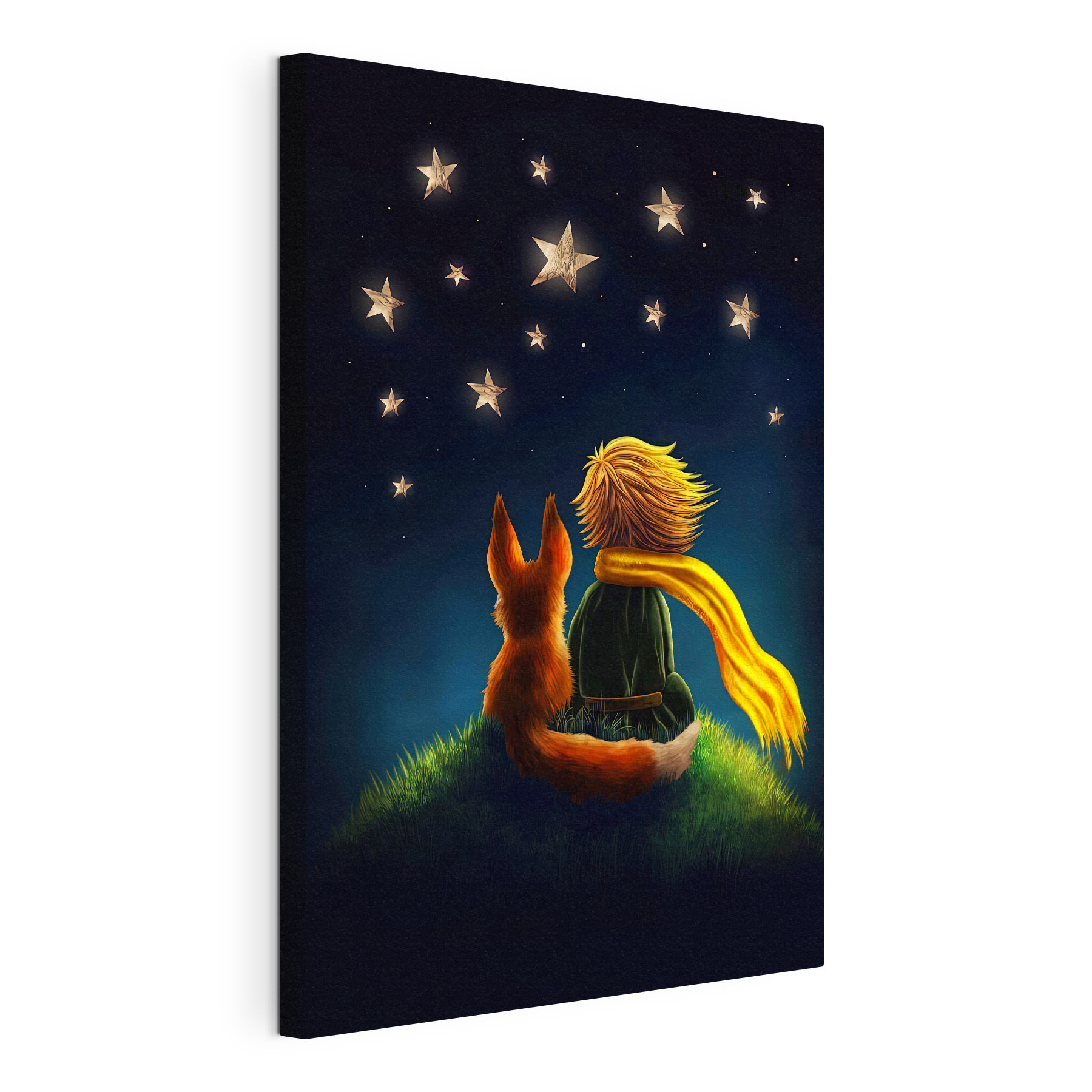 A fox and a little prince looking at stars A fox and a little prince looking at stars