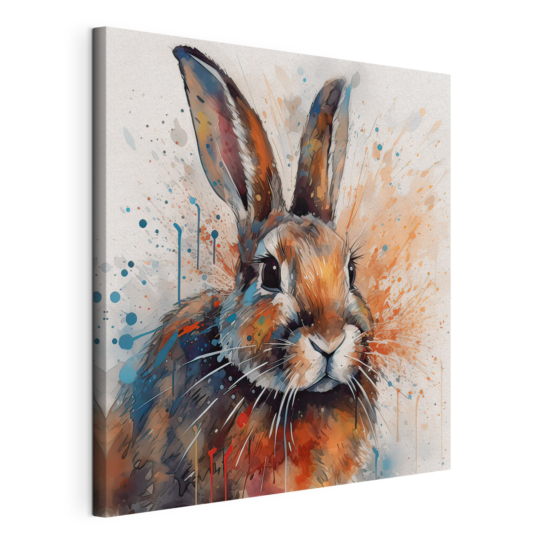 Rabbit with paint splashes