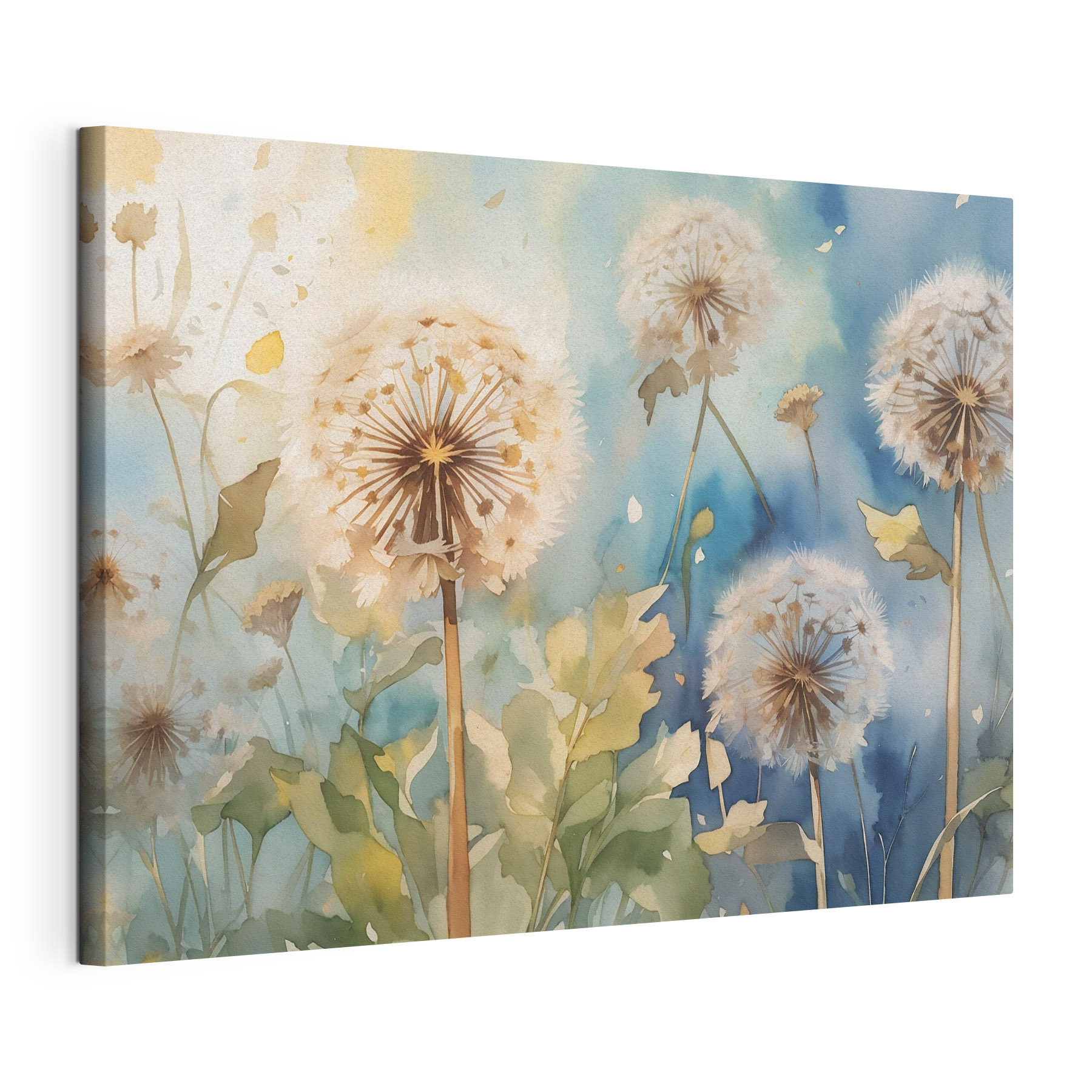 A watercolor painting of dandelions A watercolor painting of dandelions