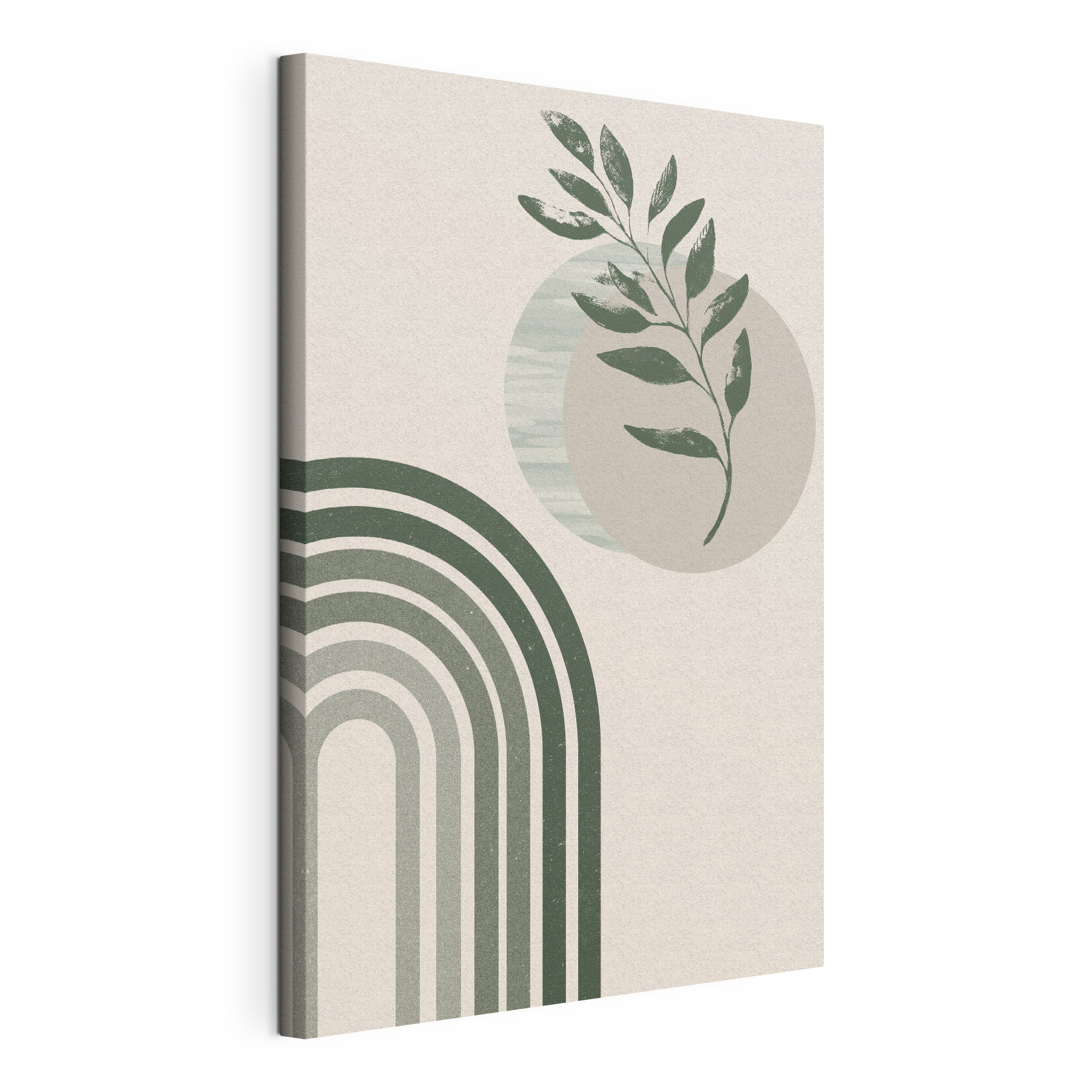 A green and white rainbow with a leaf and a plant