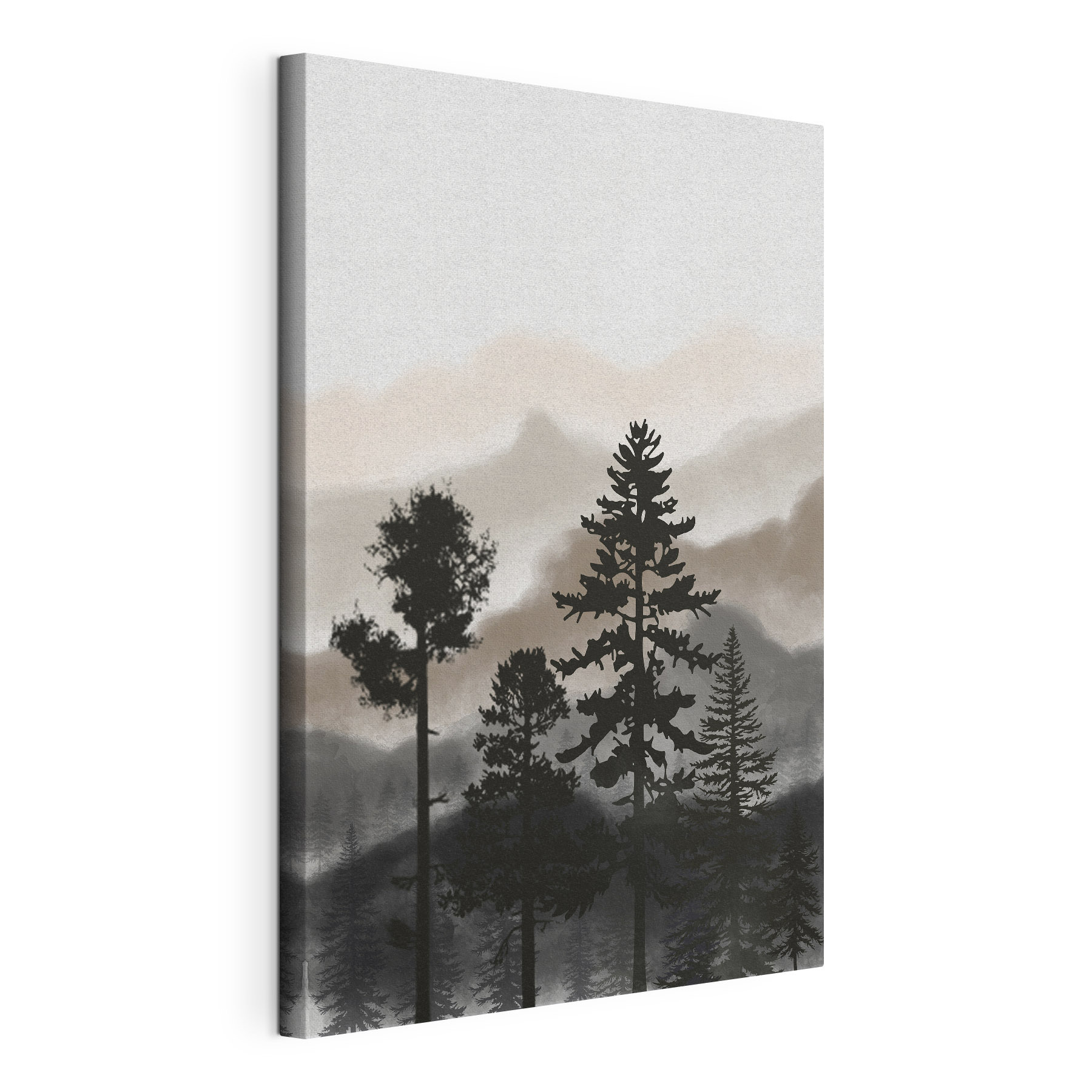 A group of trees in the fog