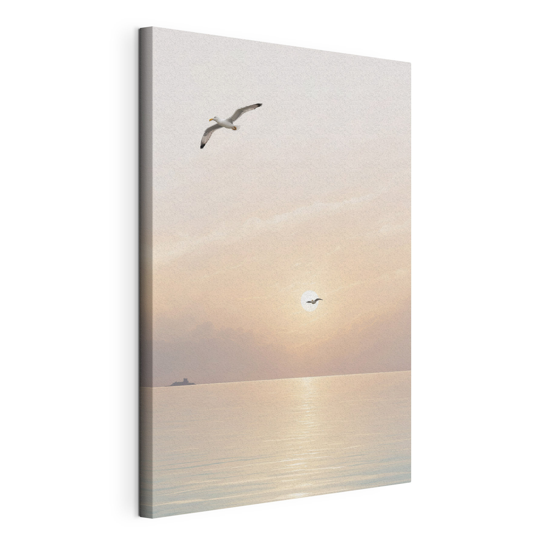 A seagull flying over water