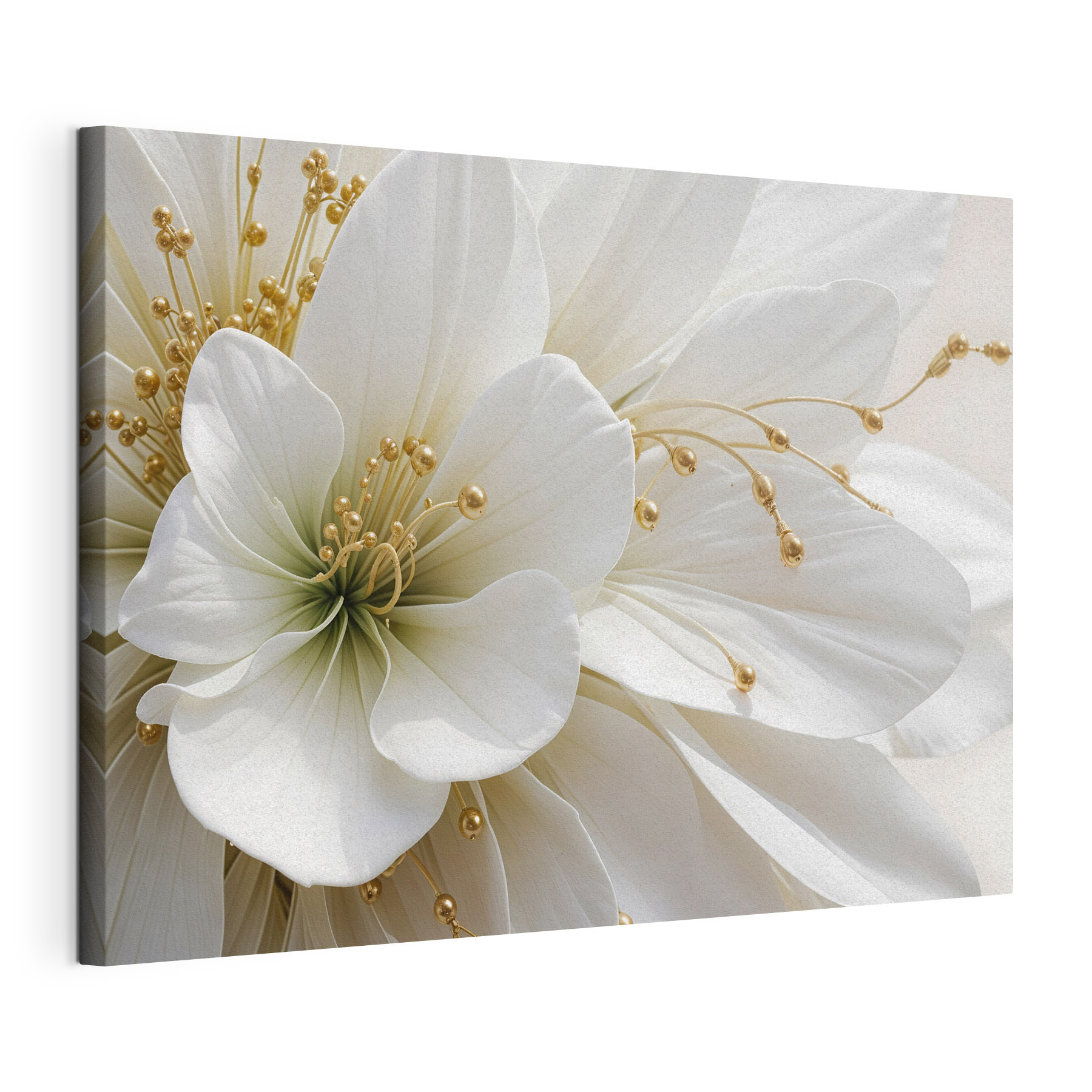 Close up of a white flower