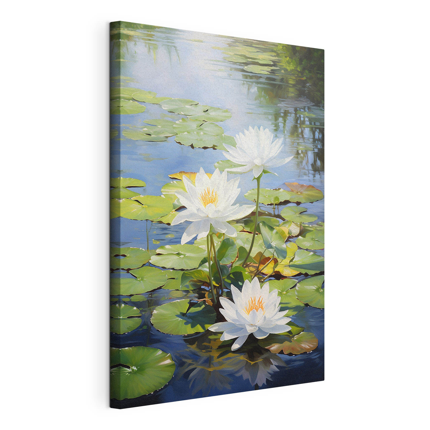 Group of white flowers in a pond