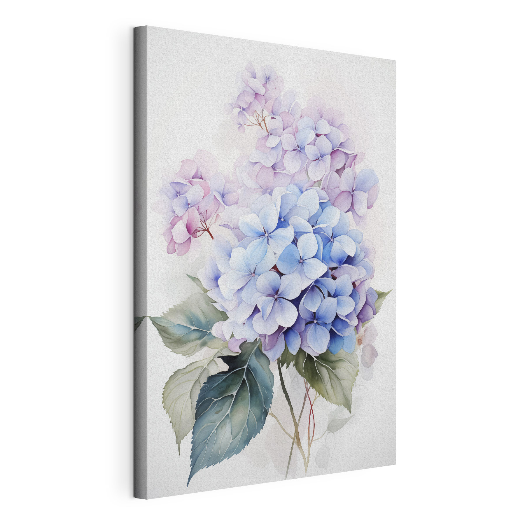 Painting of flowers on a white background Painting of flowers on a white background