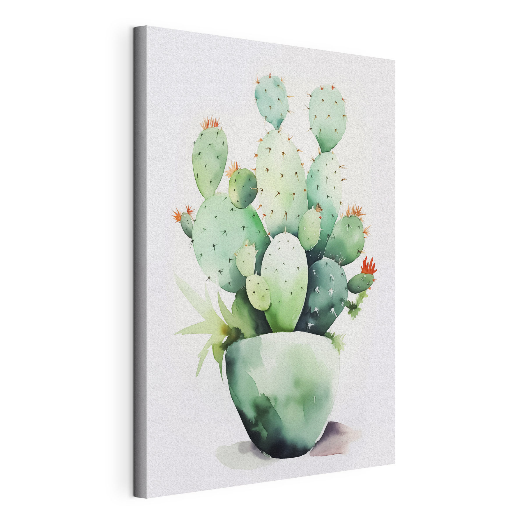 Watercolor of a cactus