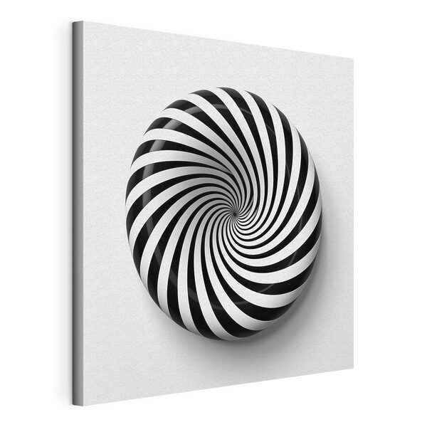 Tablouri Tablouri Obiect spiralat alb-negru (SKU: s43376)