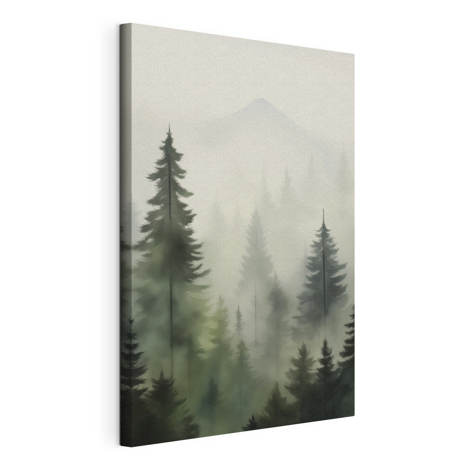 Foggy forest with trees and a mountain in the background