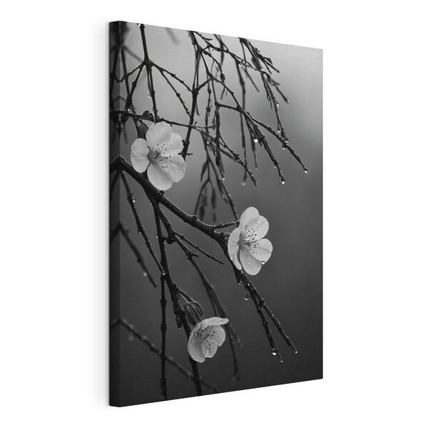 Tablouri Tablouri Inflorescențe delicate sub o ploaie blândă (SKU: s44098)