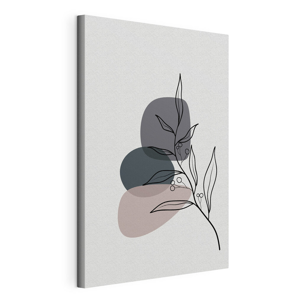 A drawing of a plant
