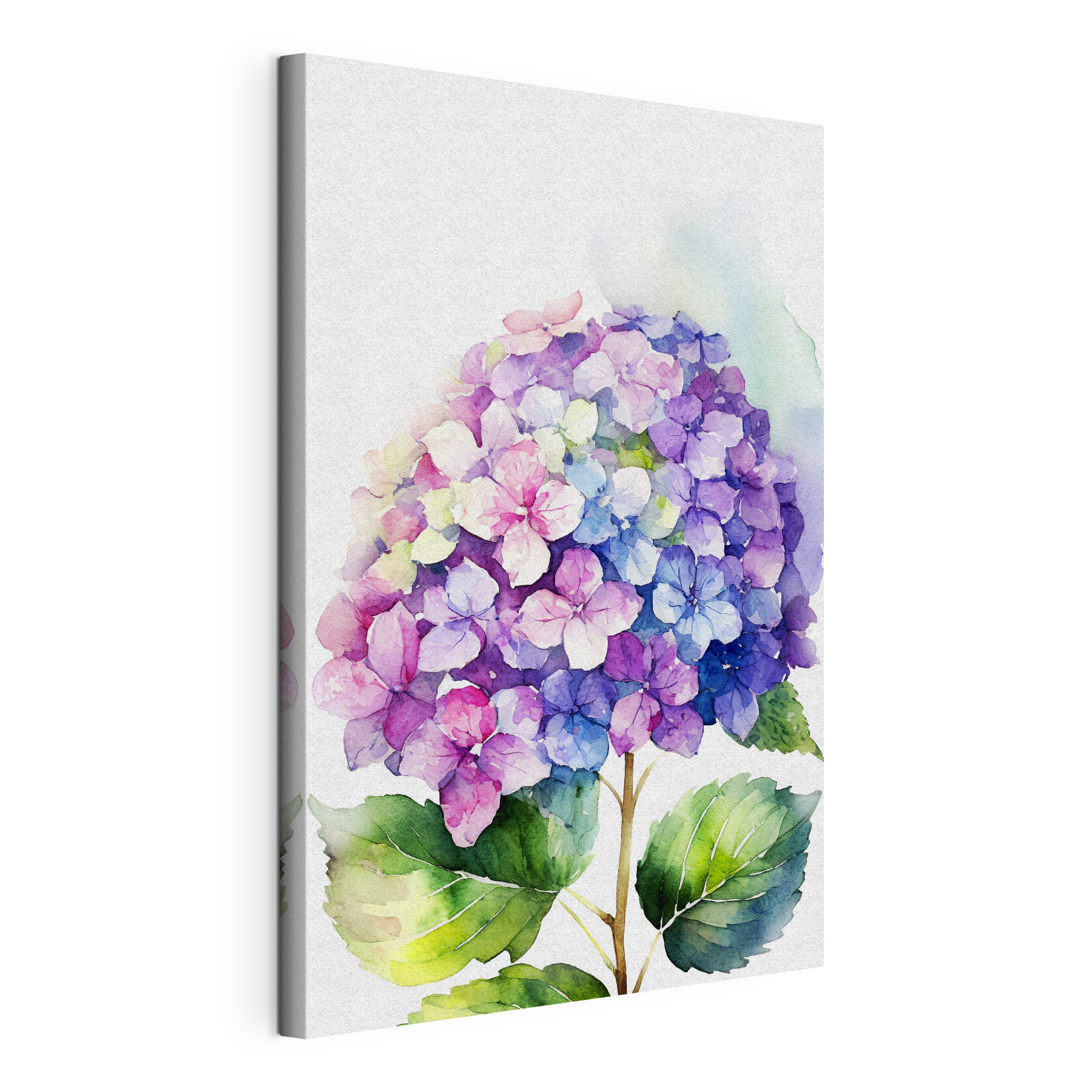 A watercolor of a flower