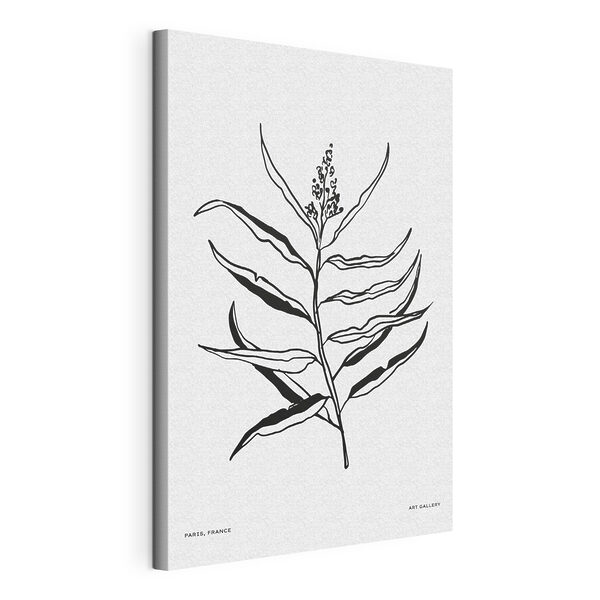 Un desen alb-negru al unei plante Tablouri Un desen alb-negru al unei plante