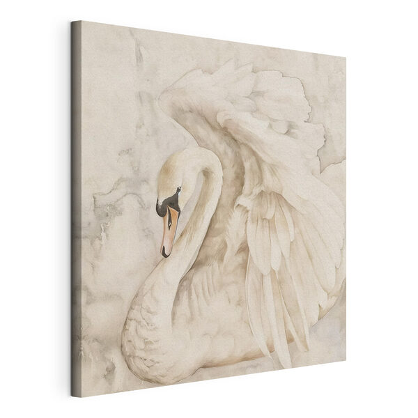 A white swan with wings