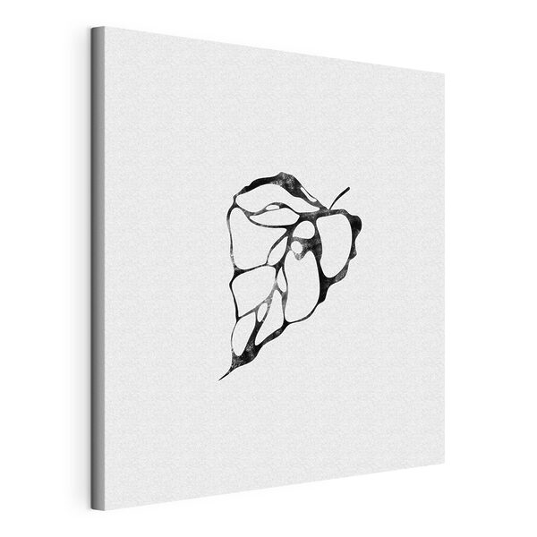 A black and white image of a leaf
