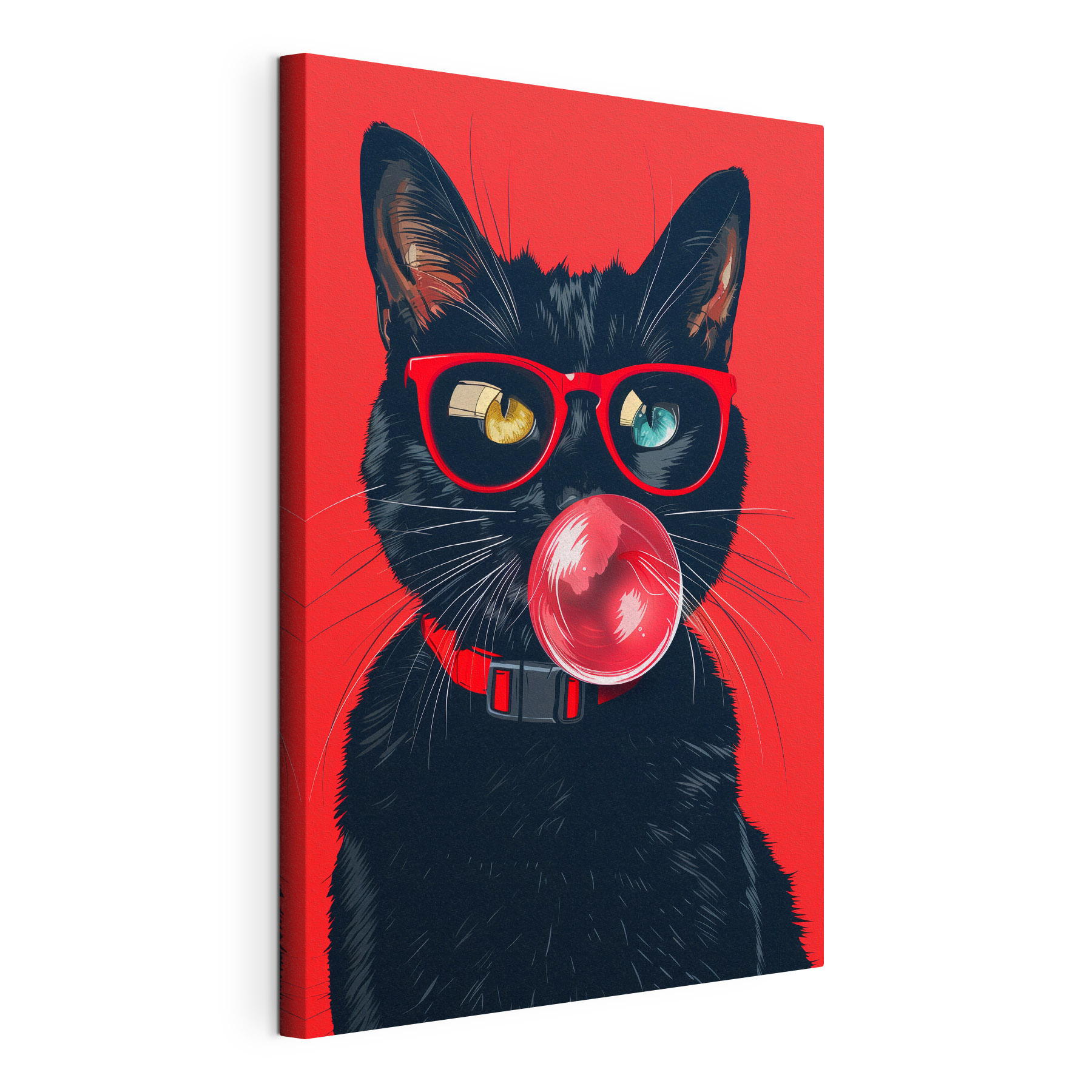 A cat wearing sunglasses and chewing gum A cat wearing sunglasses and chewing gum
