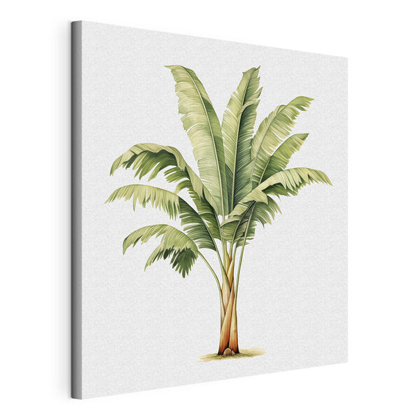 Palm tree with large leaves