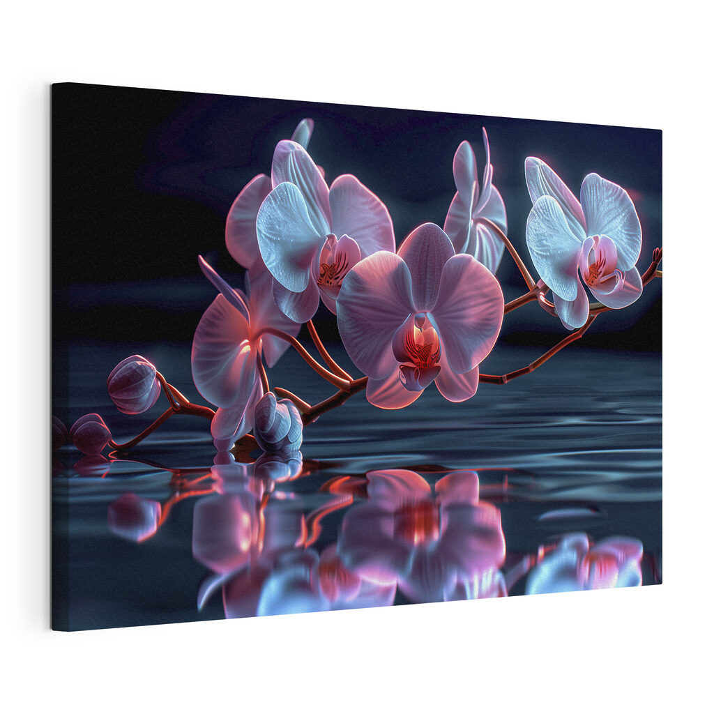 Orchid reflections in tranquil water
