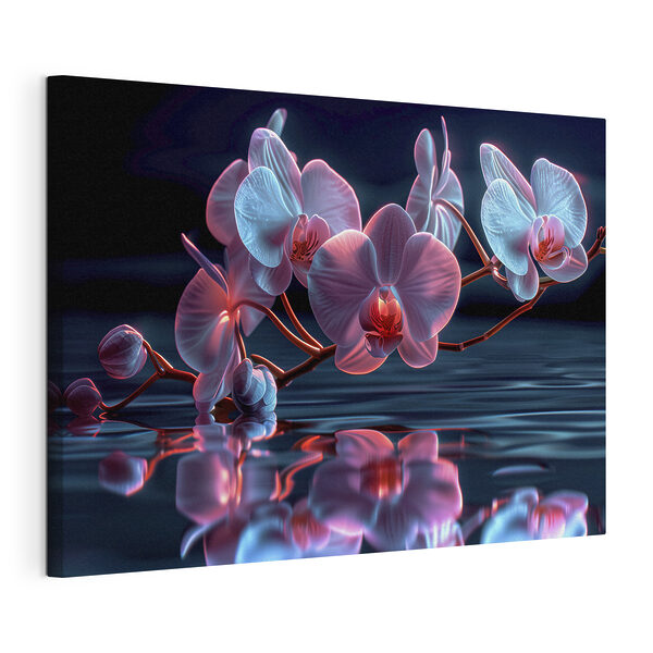 Orchid reflections in tranquil water