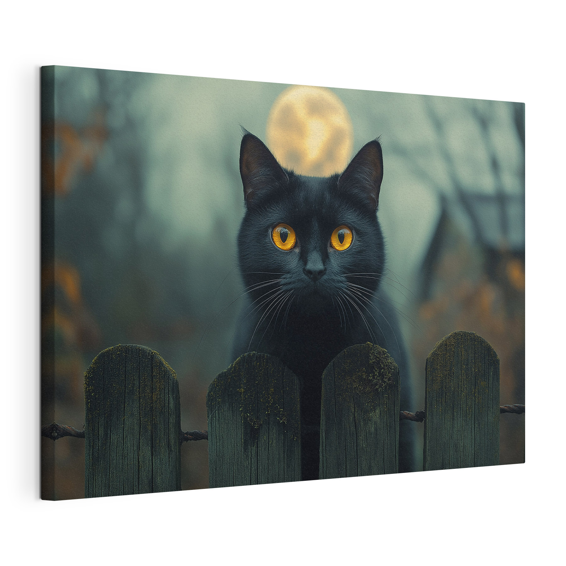 Black cat with yellow eyes behind a fence Black cat with yellow eyes behind a fence