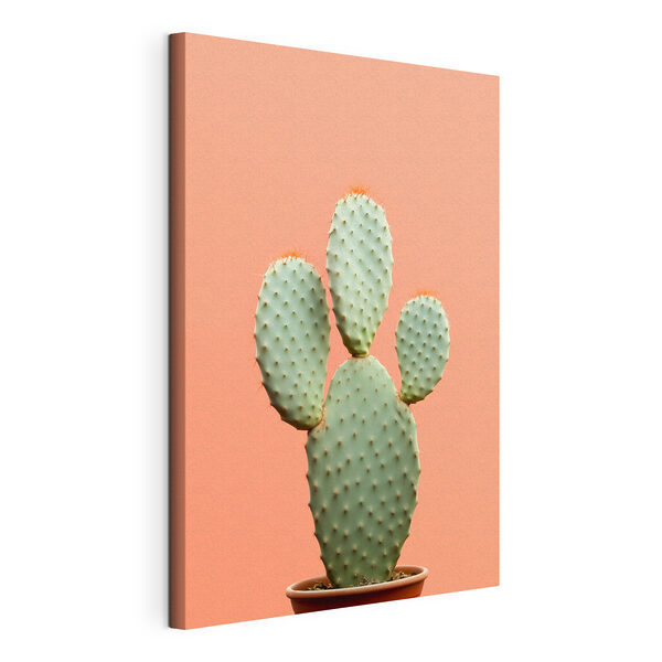 Cactus with red spikes