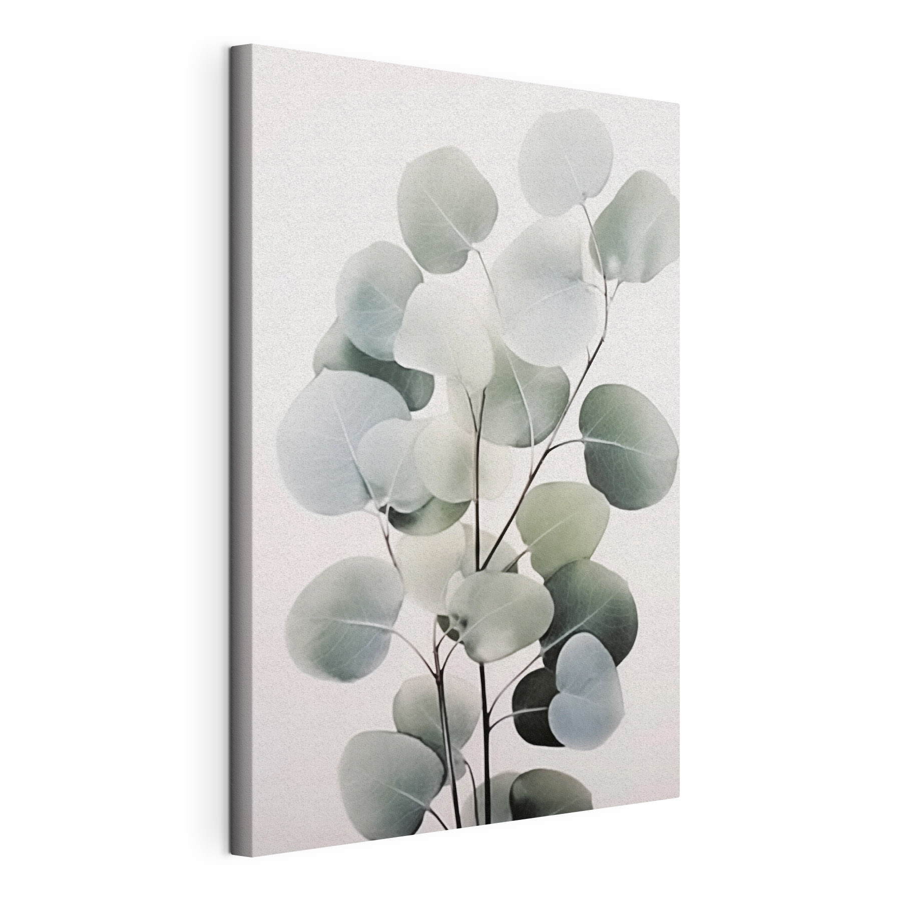 Delicate leaves on a minimal backdrop