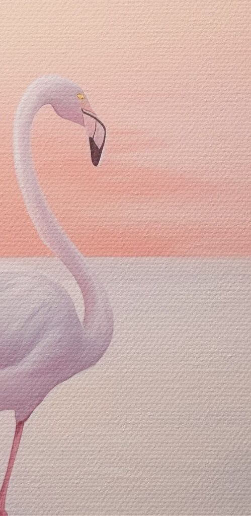 Group of flamingos standing in water